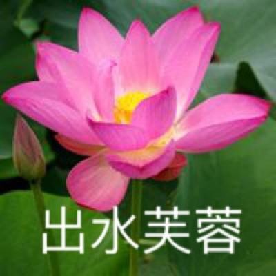 傲世九重天手游下载